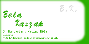 bela kaszap business card